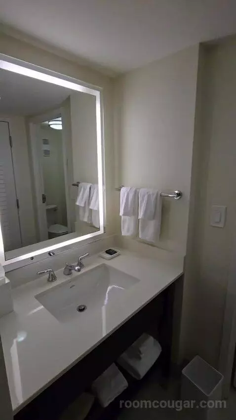 King Room (#2621) bathroom picture #4