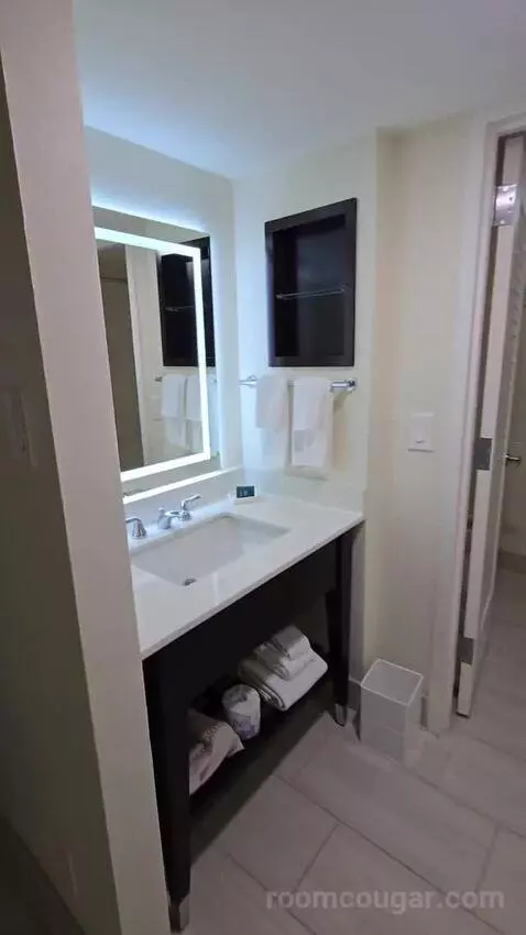 Queen Room with Two Queen Beds with Pool View (#1268) bathroom picture #4