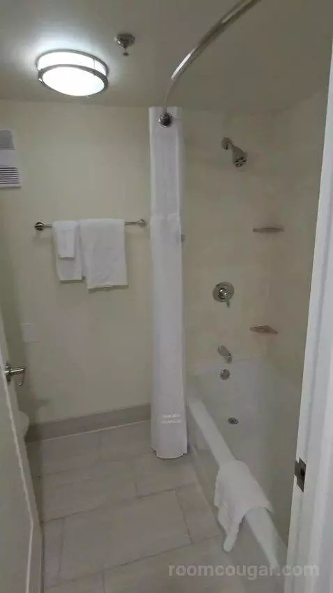 Queen Room with Two Queen Beds with Pool View (#1268) bathroom picture #7