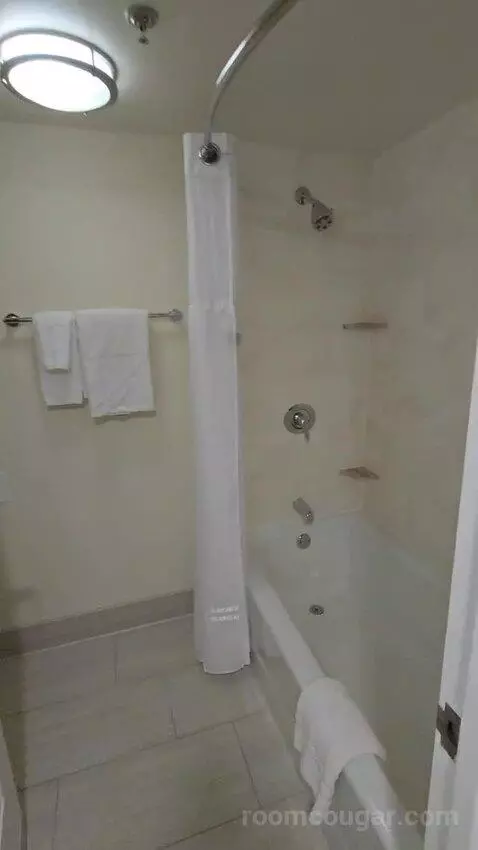 Queen Room with Two Queen Beds with Pool View (#1268) bathroom picture #8