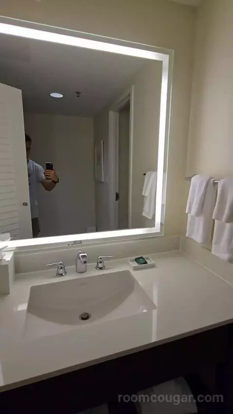 One King Bedroom Island Suite (#4420) bathroom picture #5