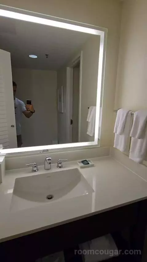 One King Bedroom Island Suite (#4420) bathroom picture #6