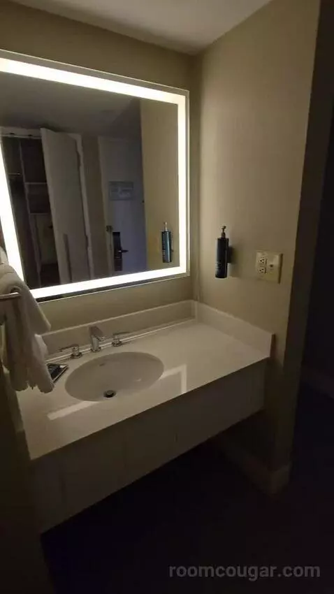 Queen Room with Two Queen Beds (#956) bathroom picture #8