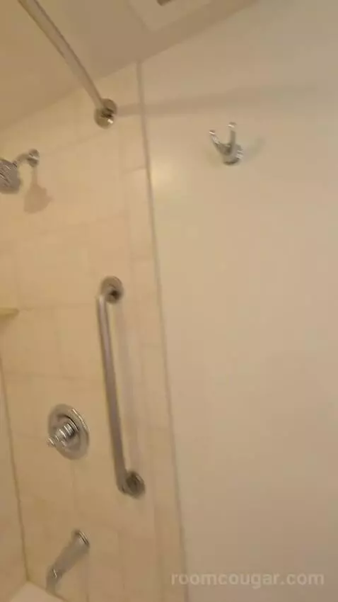 Standard Queen Room with Two Queen Beds (#227) bathroom picture #4