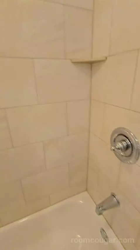 Standard Queen Room with Two Queen Beds (#227) bathroom picture #5