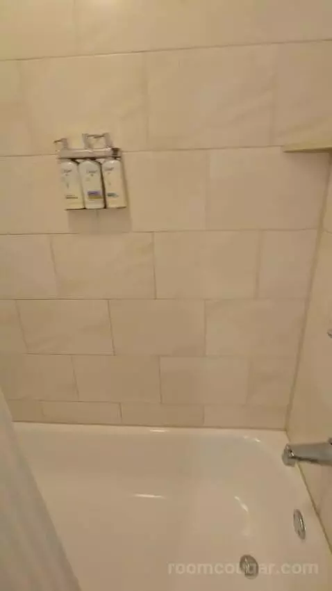 Standard Queen Room with Two Queen Beds (#227) bathroom picture #6