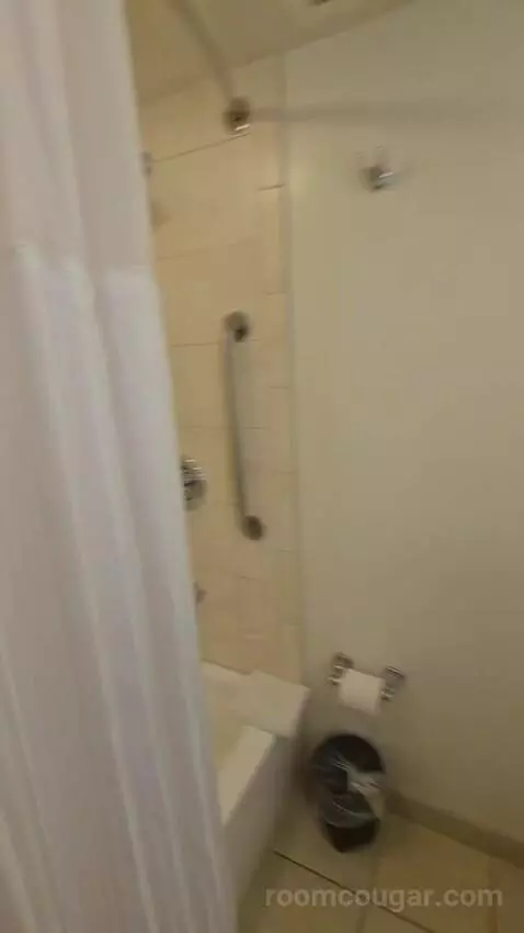 Standard Queen Room with Two Queen Beds (#227) bathroom picture #7
