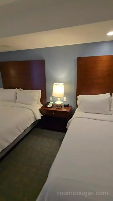 Standard Queen Room with Two Queen Beds (#227) bed picture #6