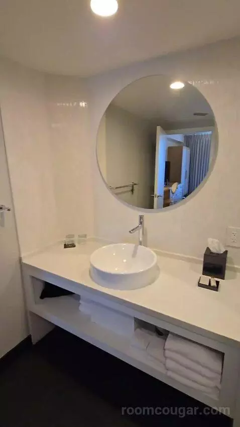 Executive Suite, 1 King (#1708) bathroom picture #10