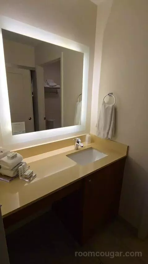 King Studio Suite (#123) bathroom picture #1