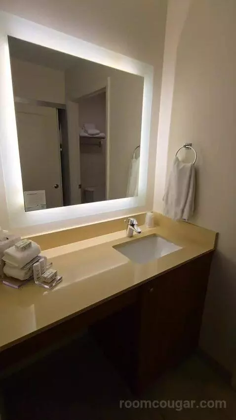 King Studio Suite (#123) bathroom picture #2