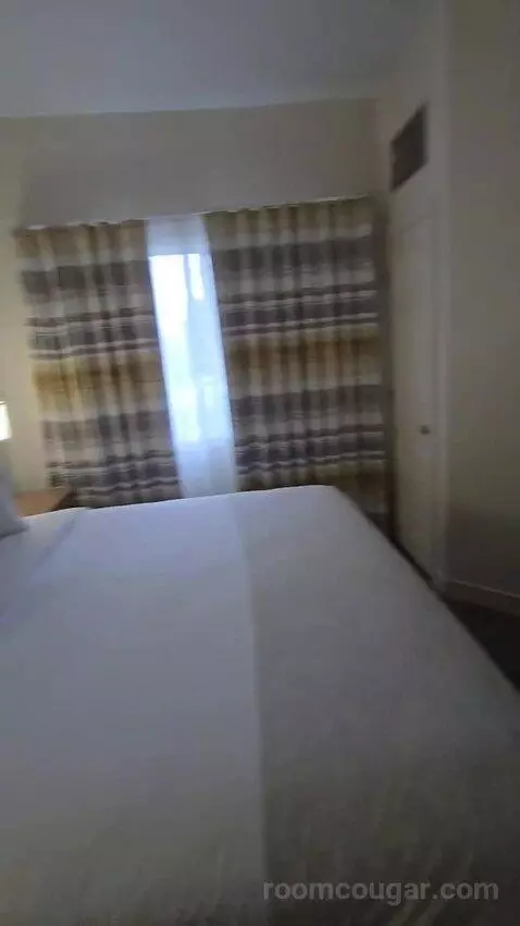 King Studio Suite (#123) bed picture #9
