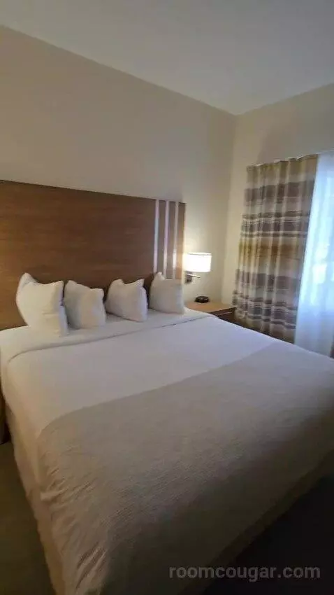 King Studio Suite (#123) bed picture #1