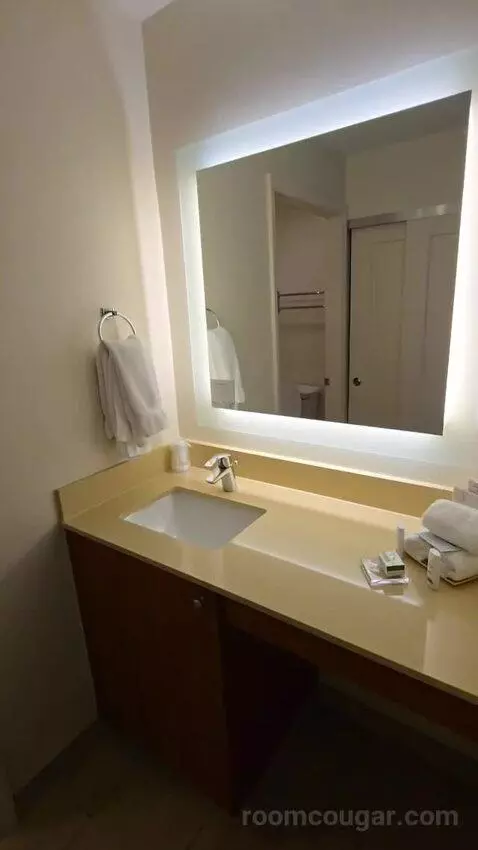 One Bedroom King Suite (#107) bathroom picture #1