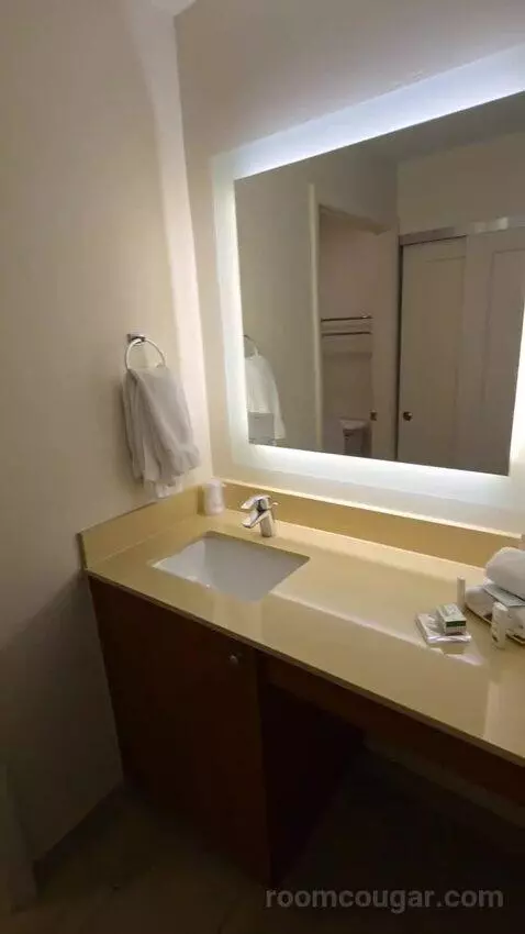 One Bedroom King Suite (#107) bathroom picture #2