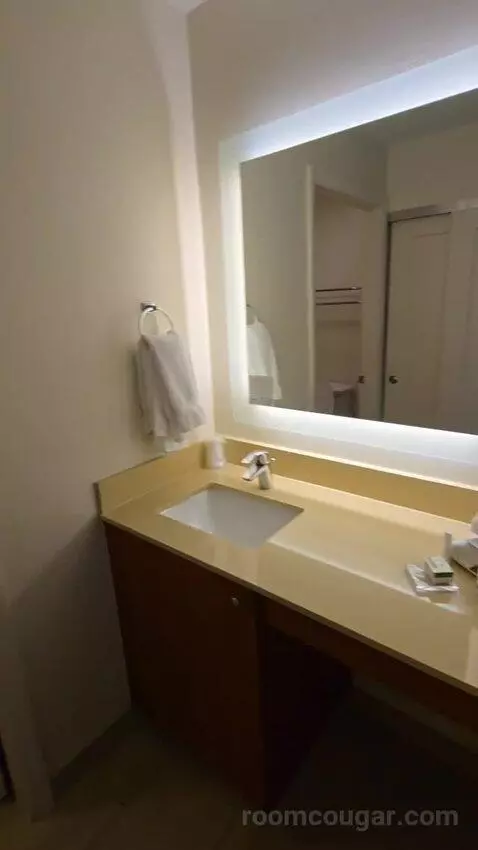 One Bedroom King Suite (#107) bathroom picture #3