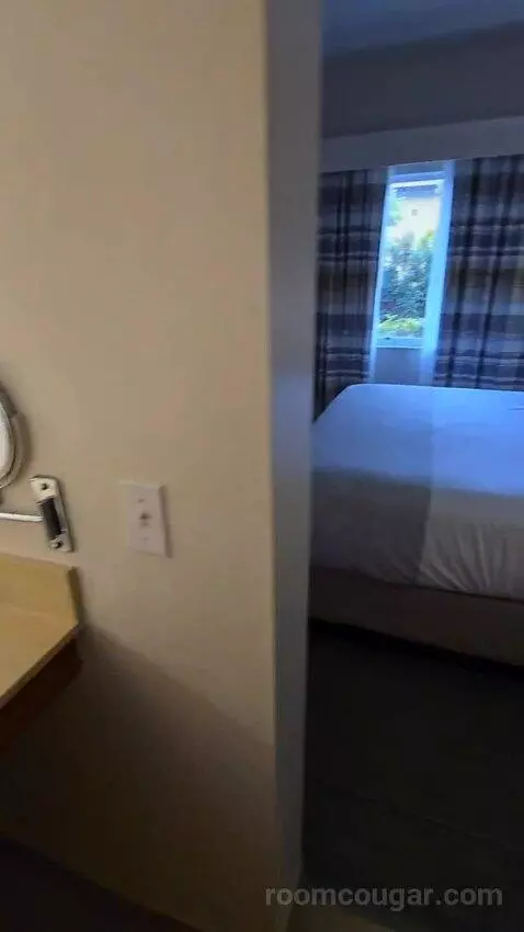 One Bedroom King Suite (#107) bed picture #10