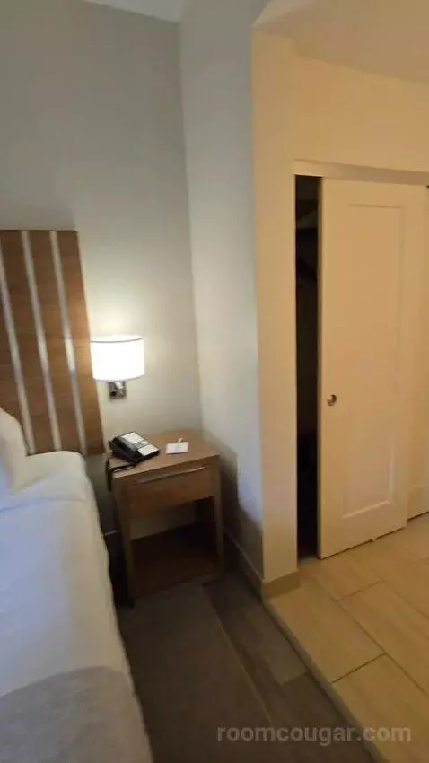 One Bedroom King Suite (#107) bed picture #6