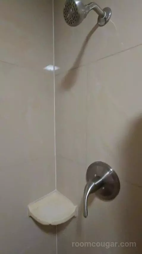 Two Double Bed Room (#112) bathroom picture #9