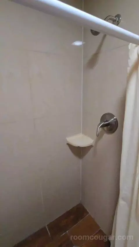 Two Double Bed Room (#112) bathroom picture #10