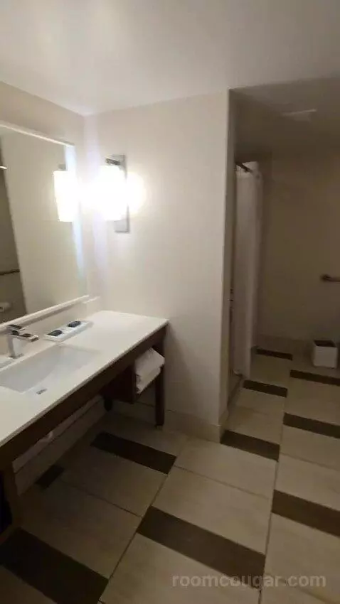 One-Bedroom King Suite with Roll-In Shower - Mobility/Hearing Access (#268) bathroom picture #1