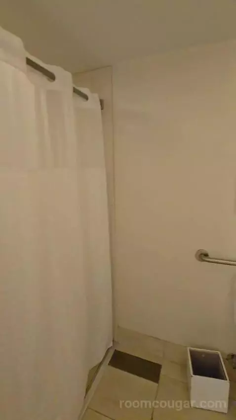 One-Bedroom King Suite with Roll-In Shower - Mobility/Hearing Access (#268) bathroom picture #3