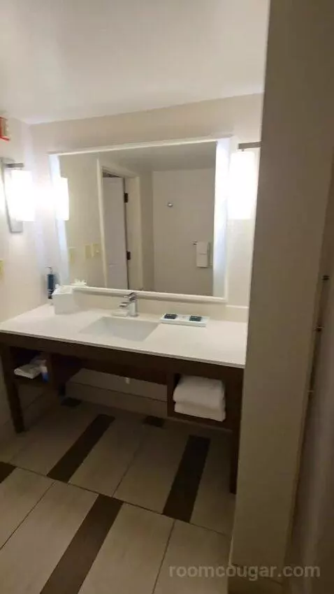 One-Bedroom King Suite with Roll-In Shower - Mobility/Hearing Access (#268) bathroom picture #4