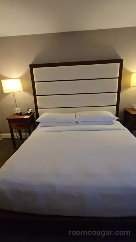One-Bedroom King Suite with Roll-In Shower - Mobility/Hearing Access (#268) bed picture #7
