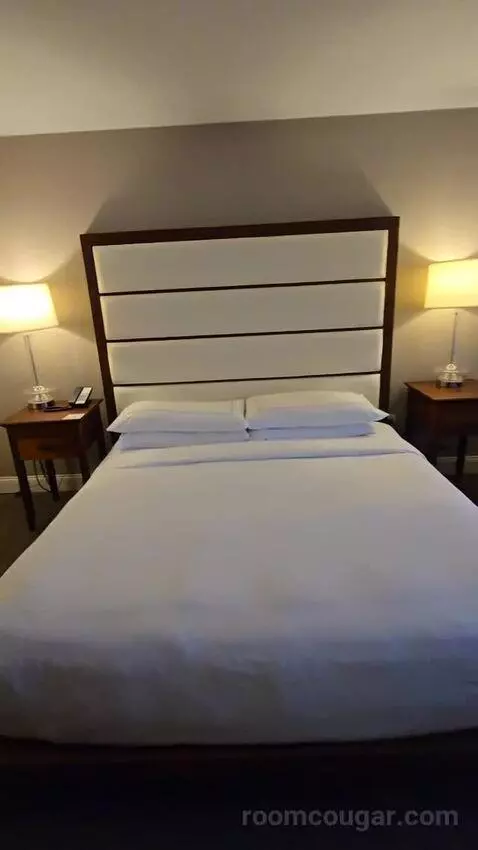 One-Bedroom King Suite with Roll-In Shower - Mobility/Hearing Access (#268) bed picture #8