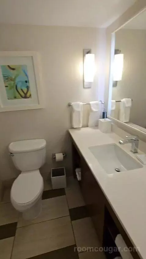 King Room (#361) bathroom picture #1