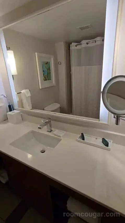 King Room (#361) bathroom picture #4