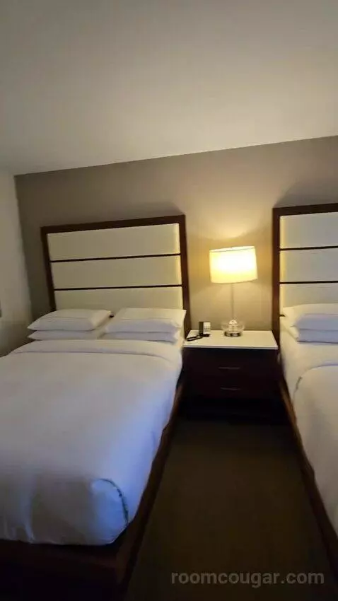 Queen Room with Two Queen Beds - Hearing Access (#352) bed picture #5