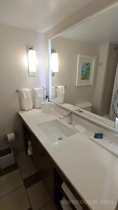 Queen Room with Two Queen Beds - Hearing Access (#352) bathroom picture #1