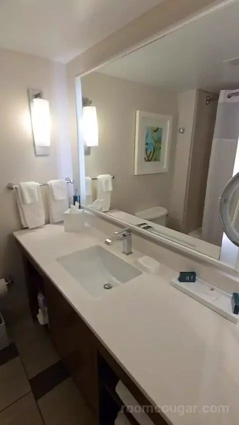 Queen Room with Two Queen Beds - Hearing Access (#352) bathroom picture #2