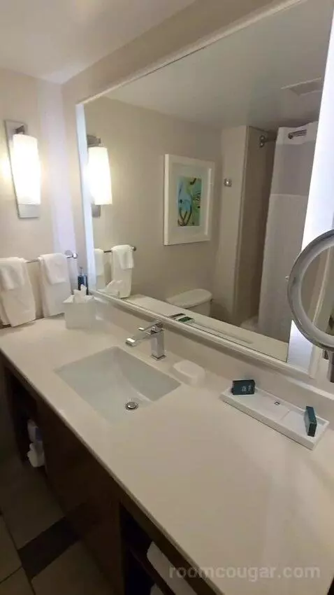 Queen Room with Two Queen Beds - Hearing Access (#352) bathroom picture #3