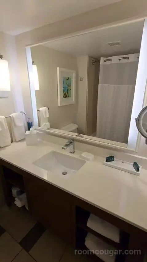 Queen Room with Two Queen Beds - Hearing Access (#352) bathroom picture #4