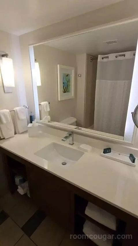 Queen Room with Two Queen Beds - Hearing Access (#352) bathroom picture #5