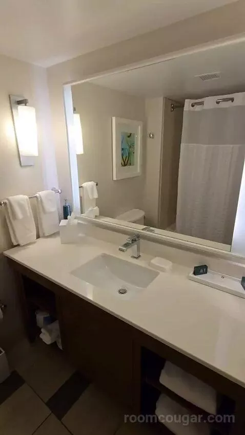 Queen Room with Two Queen Beds - Hearing Access (#352) bathroom picture #6