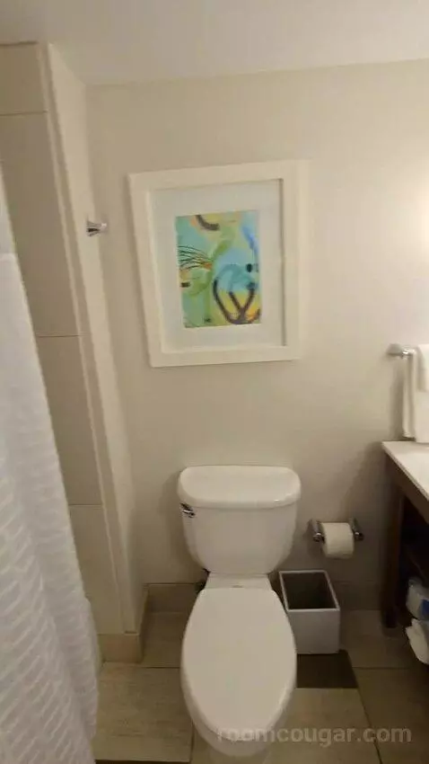 Queen Room with Two Queen Beds - Hearing Access (#352) bathroom picture #10