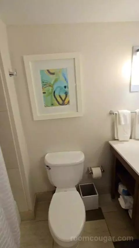Queen Room with Two Queen Beds - Hearing Access (#352) bathroom picture #11