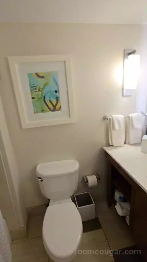 Queen Room with Two Queen Beds - Hearing Access (#352) bathroom picture #12