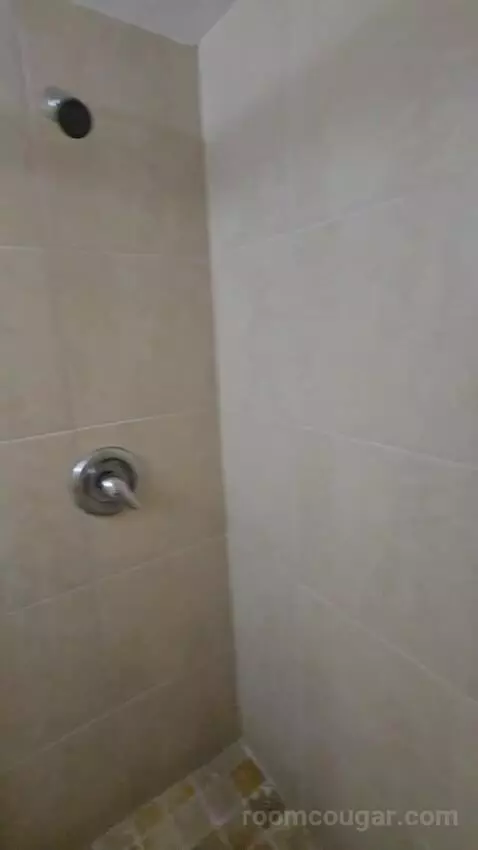 Standard King Room (#106) bathroom picture #5