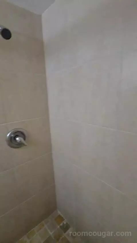 Standard King Room (#106) bathroom picture #6