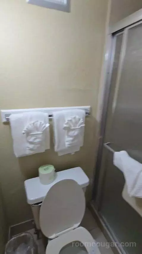 Standard King Room (#106) bathroom picture #7