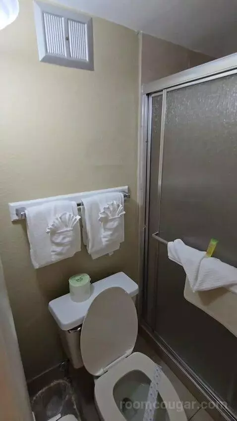 Standard King Room (#106) bathroom picture #3