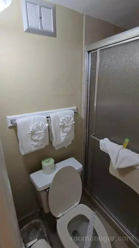 Standard King Room (#106) bathroom picture #4