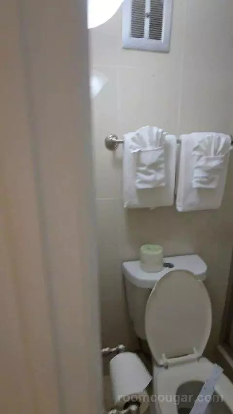 Standard Double Room (#104) bathroom picture #1