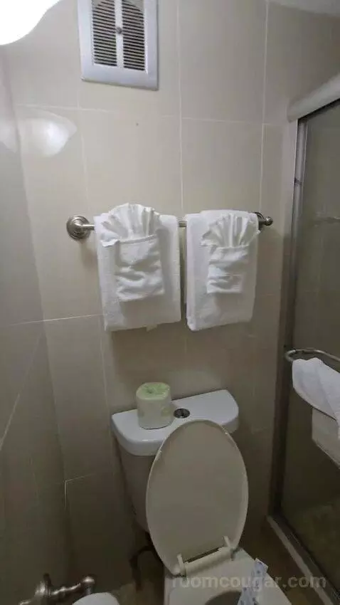 Standard Double Room (#104) bathroom picture #4