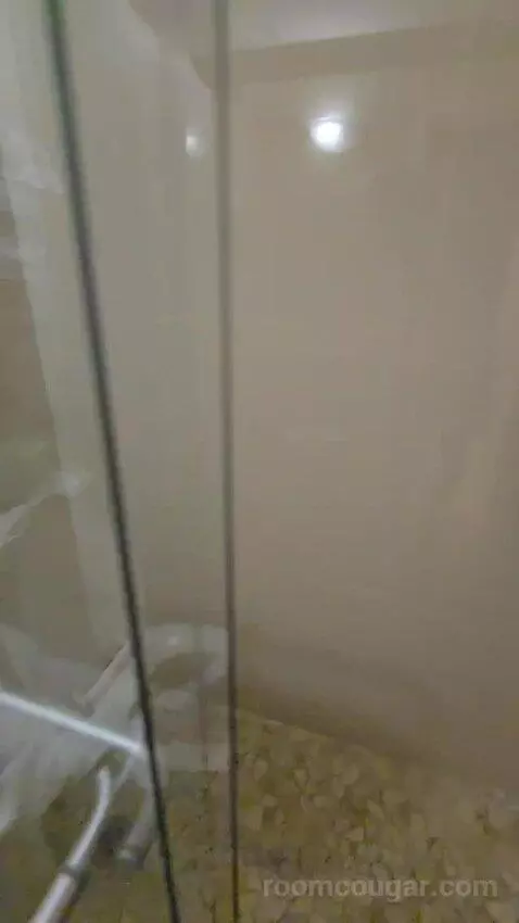 Standard Double Room (#104) bathroom picture #6