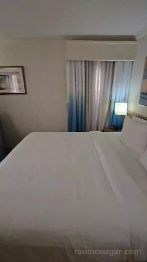 Suite, 1 King (#228) bed picture #1